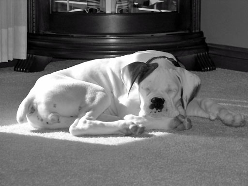 Ellie in B/W