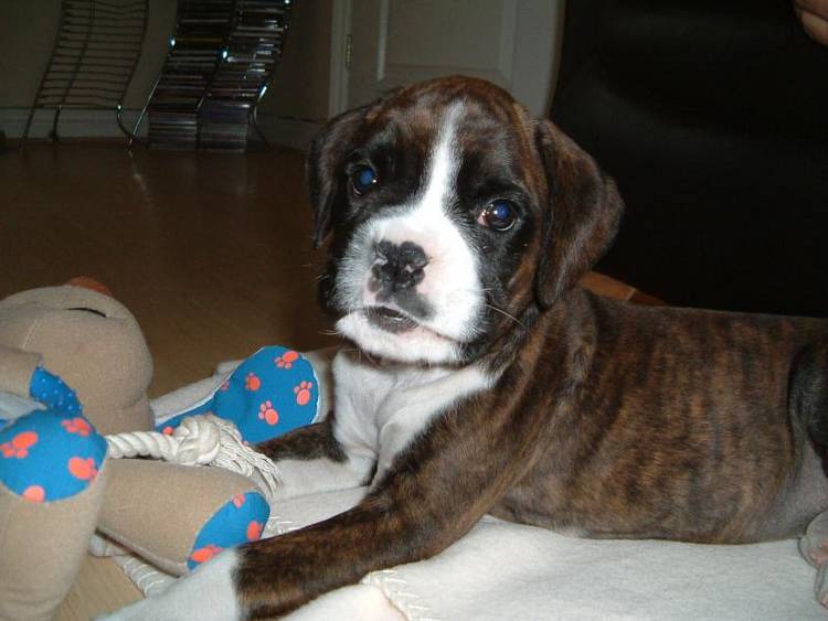 Ellie loves her photo being taken!