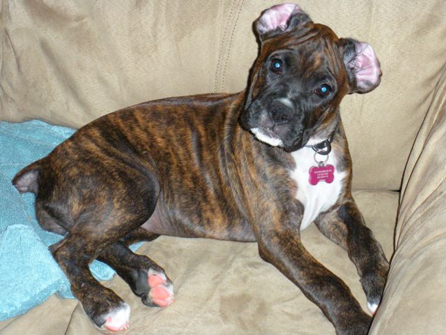 Ellie3months