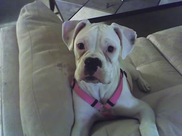 Ellie's a big girl