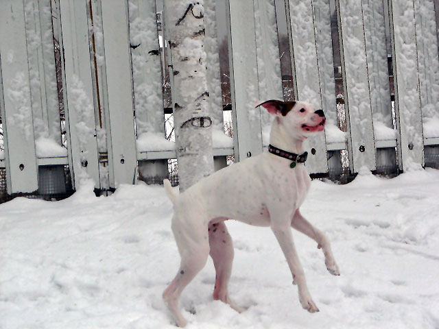 Ellie's first winter