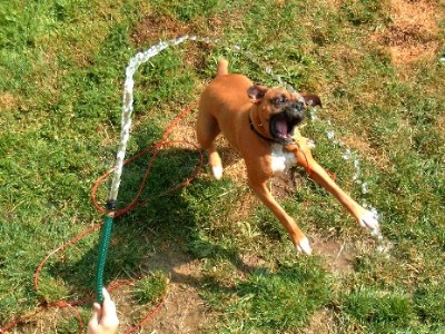Elliott playing in the water