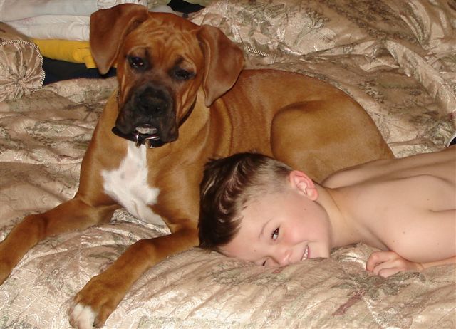 Elvis keeping Hunter company while he's sick.