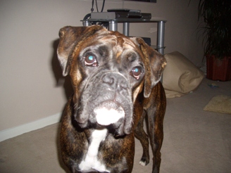 Elvis loves to pose!