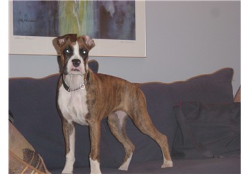 elza_4_5_month_old_018