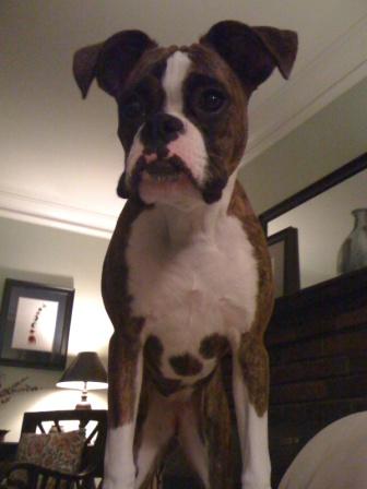 Emma 7mths