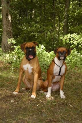Emma and Rocky