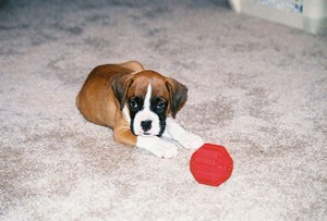 Emma as a little baby