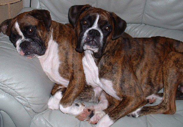 Emma &Bertie