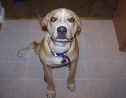 Emma Girl