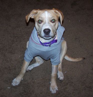 Emma in her new hoodie