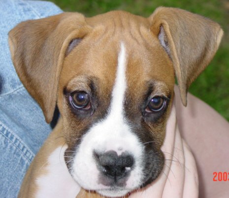 Emma - Mama's Baby Girl