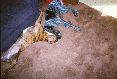 Emma & Orlando Napping