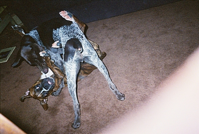 Emma & Orlando Playing