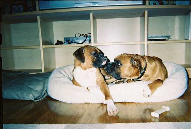 Emma, please gimmie a kiss