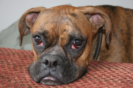 Emma pouty face