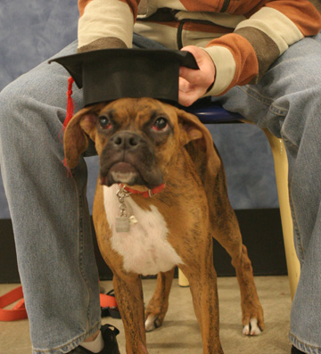 Emma puppy class graduate!!