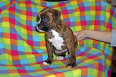 Emma Six Weeks