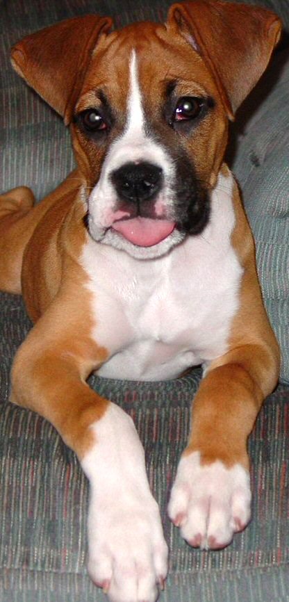 Emma sticking her tongue out at Mama
