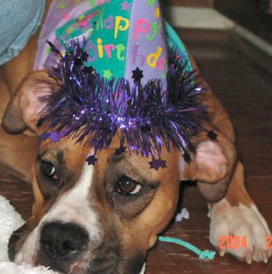 Emma's 1st Birthday 2-1-04