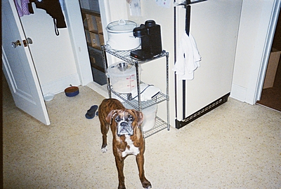 Emma's Encounter with the Flour Bucket
