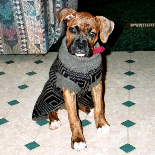 Emmitt's first pic