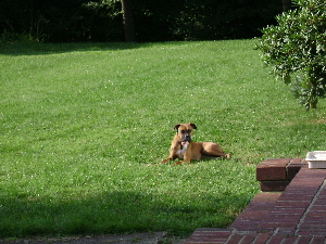 Enjoying a warm sunny day