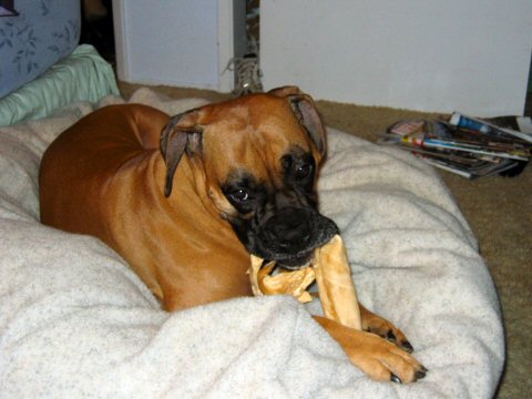 Enjoying new bed :)
