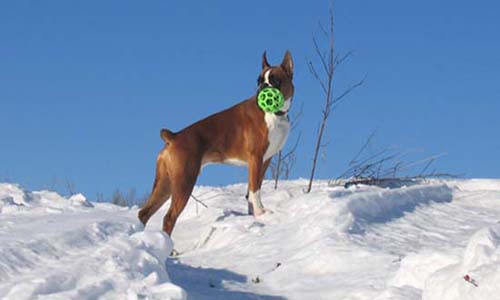 Enjoying the Never Ending Snow :)))))