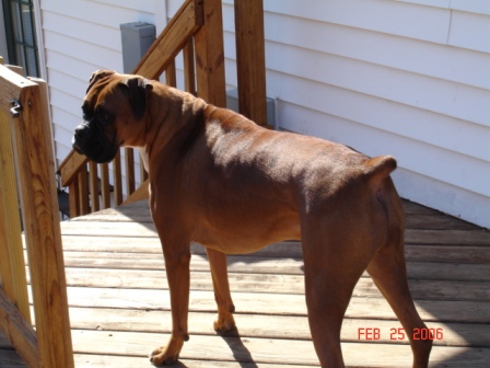 Enjoying The Nice Weather!