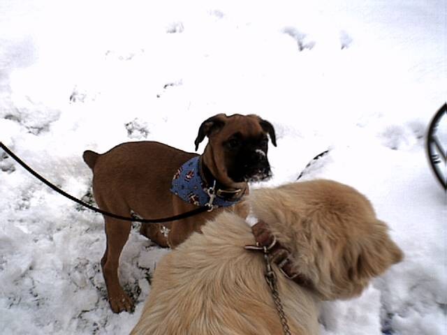 Enjoying the snow