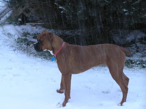 Enjoying the snow