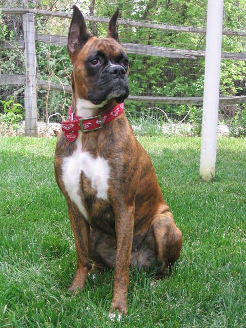 Enjoying the spring sun