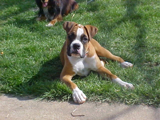 Enjoying the Sun