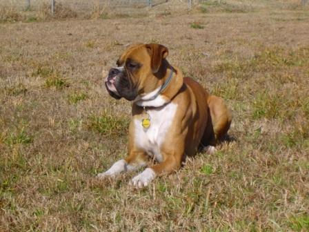 enjoying the sun