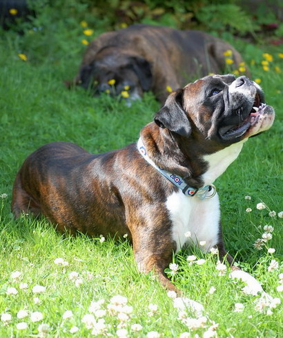 Enjoying the Sun