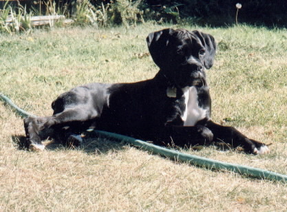 Enjoying the sun