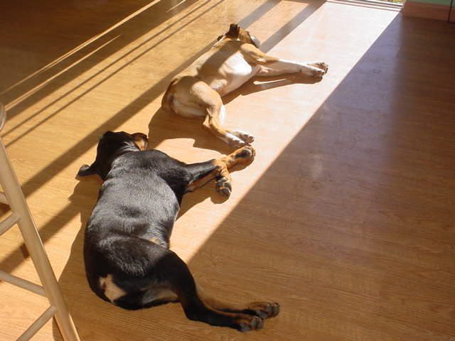 Enjoying the sunshine