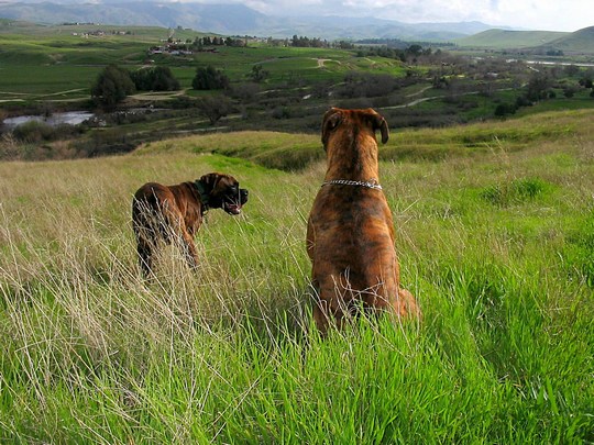 Enjoying the view
