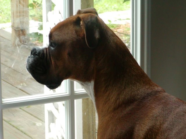 Enjoying the view!