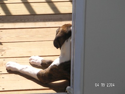 Enjoying the weather