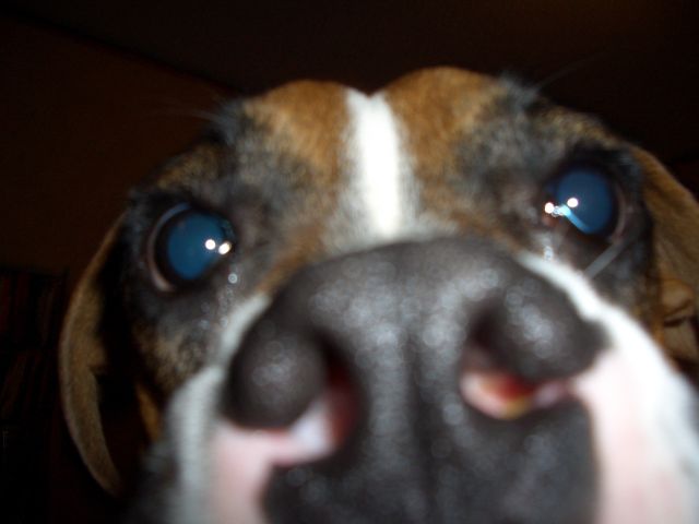 Enough of the Camera!!!