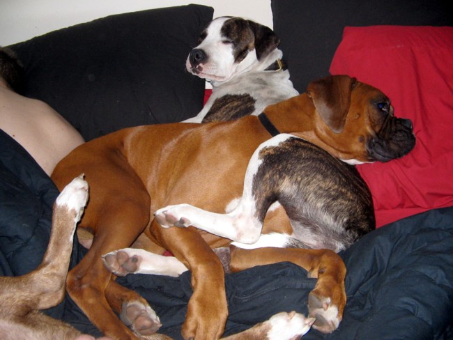 Enzo and Trina