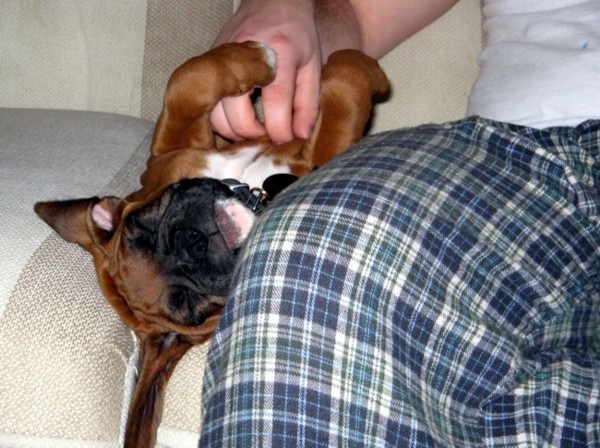 Enzo with Daddy