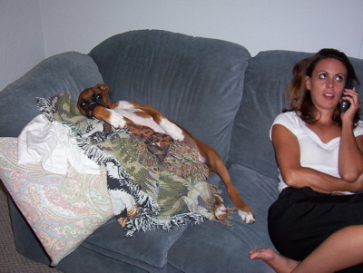 enzocouch