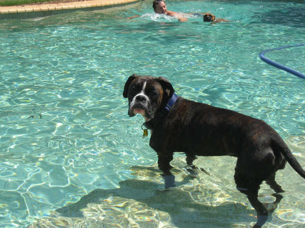Eric all grown up - but does he want to swim?