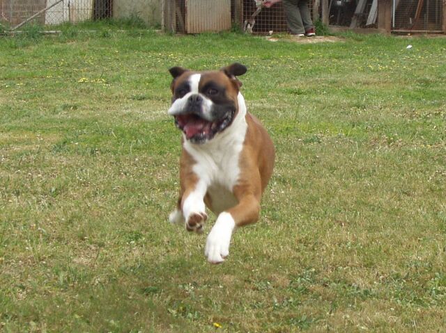 Eric....Flying!!