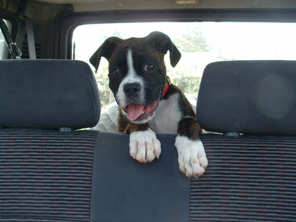 Eric in the car
