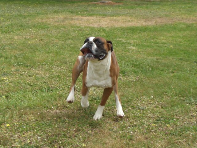 Eric....Ready to Fly!!