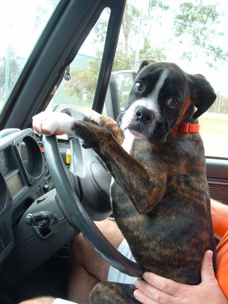 Erics first driving lesson perhaps?
